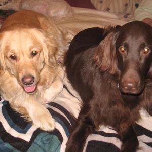 Meet your Posher, Jan